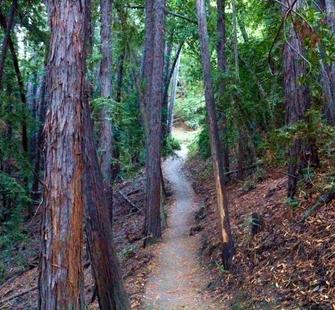 The hiking trails.